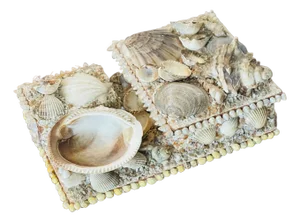 Antique Sailors Valentines Sea Shell Match Box Collectible