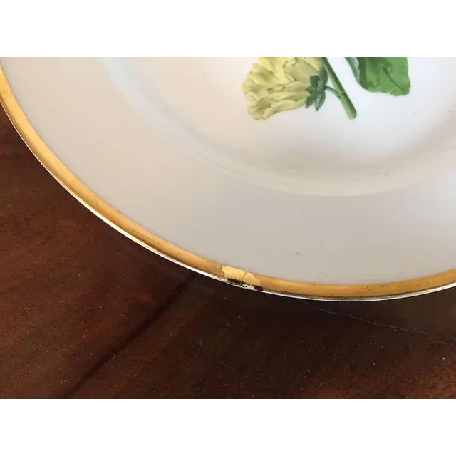 Ceramic Early 19th Century German Meissen Porcelain Botanical Speciment Plates - Set of 3 For Sale - Image 7 of 11