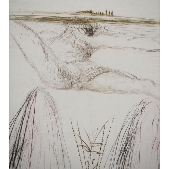 Salvador Dali, Nude, The Giant Beliagog, 1970, Engraving For Sale - Image 4 of 9