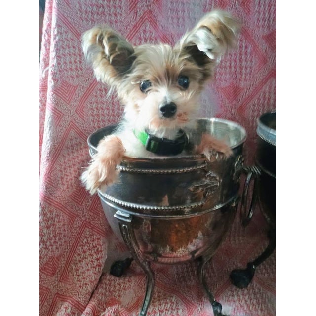 Rare to find a pair! Matching pair of fabulous Edwardian Style Champagne Buckets or Jardinières. Uniquely detailed Silver...