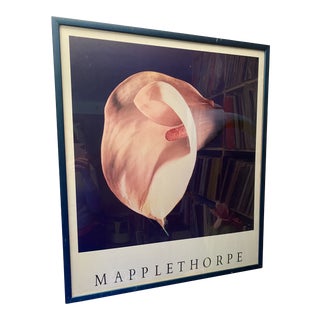 Robert Maplethorpe Framed ‘Lily’ For Sale