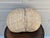 Large Early 20th Century American Oak Splint Buttocks Gathering Basket For Sale - Image 9 of 9