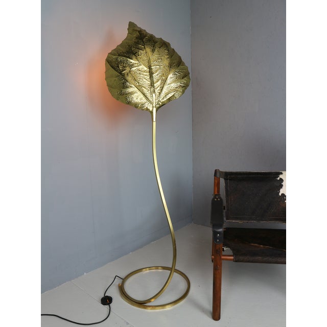 Vintage Rhubarb Floor Lamp by Tommaso Barbi for Bottega Gadda, 1970 For Sale - Image 9 of 15