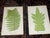 Realism Antique 19th Century Botanical Fern Wood Engravings - Set of 12 For Sale - Image 3 of 9