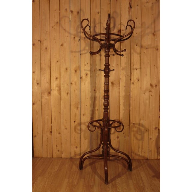 Parrot Coat Rack from Fischel, 1890 For Sale - Image 12 of 12