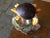 Glass Sea Turtle Murano Glass Sculpture by Adriano Dalla Valentina For Sale - Image 7 of 13