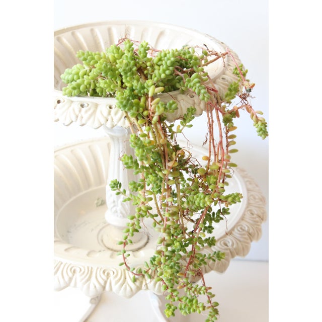 Petite French Garden Planter/Cast Iron For Sale - Image 4 of 5