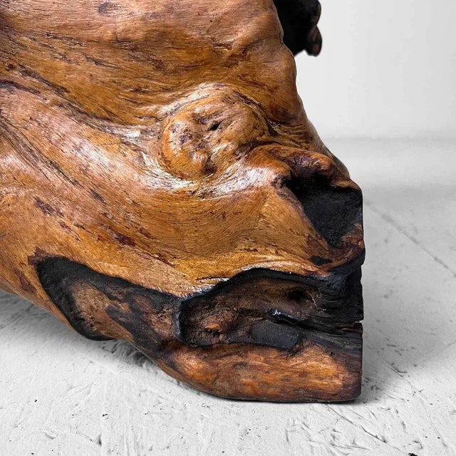 Wood Burl Wood, Japan, 1950s For Sale - Image 4 of 12