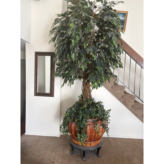 2000 - 2009 Custom Made Artificial Ficus Benjamin Tree For Sale - Image 5 of 12