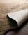 Transitional Loloi Rugs Grand Canyon Rug, Beige / Ash - 5'x6'6" For Sale - Image 3 of 4