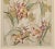 Beaux-Arts C 1900 Art Nouveau Botanical Design Chromolithograph-Daffodil, Matted For Sale - Image 3 of 5