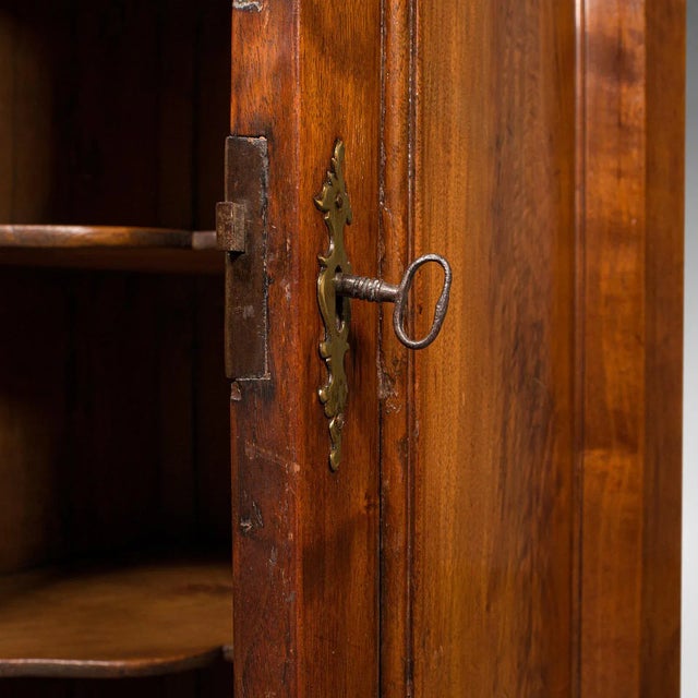 1780s Georgian Antique Corner Cabinet, English, Wall Cupboard, Floor Standing For Sale - Image 9 of 12