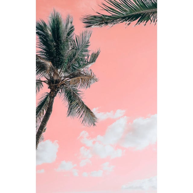 Palms 2 *All photos are available for purchase as a Limited Edition full color prints. I use an archival 100% cotton fine...