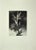 The Tree is an original Contemporary artwork realized in the the 1970s by the italian artist Leo Guida. Original Etching...