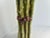 Late 19th Century Vintage Italian Terracotta Vegetable Sculpture Asparagus Trompe l'Oeil Kitchen Decor For Sale - Image 5 of 9