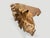 2010s Andrianna Shamaris Sculptural Teak Wood Console Table For Sale - Image 5 of 6