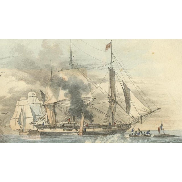 After Édouard Traviès, Whale Hunt, 1840, Hand-Colored Engraving For Sale - Image 7 of 9