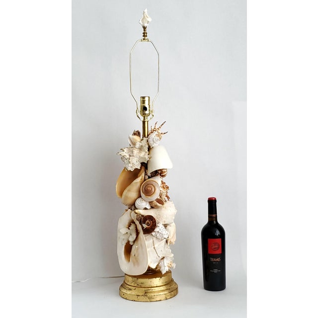Offering an extra-large vintage seashell table lamp with distressed gold leafed base and seashell finial, circa 1950s....