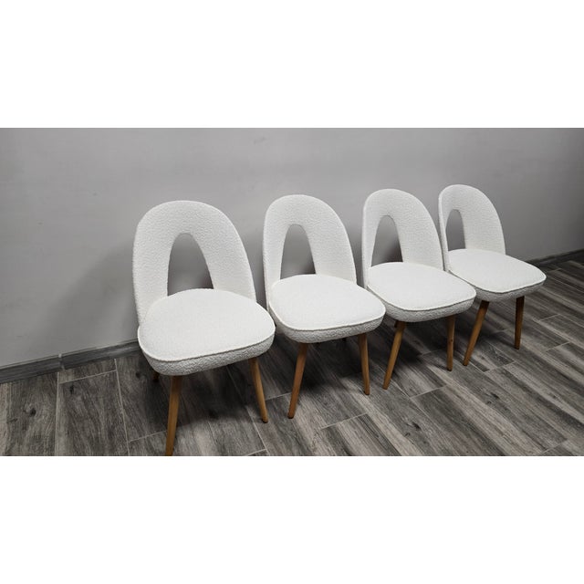 Dining Chairs from Antonin Suman, 1960s, Set of 4 For Sale - Image 9 of 10
