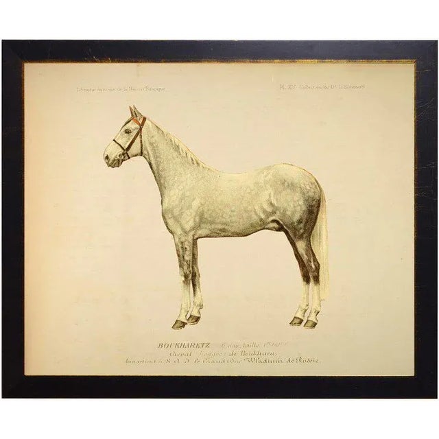 Rustic Country Print of Wayland the Horse Bookplate - 18x14 For Sale - Image 3 of 3
