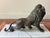Metal Bronze Lion Statue For Sale - Image 7 of 11