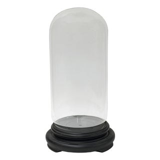 12" Vintage Glass Transparent Dome Shape Round Display Case For Sale