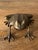 Vintage Mid-Century Large Brass Frog Figurine For Sale In Houston - Image 6 of 9