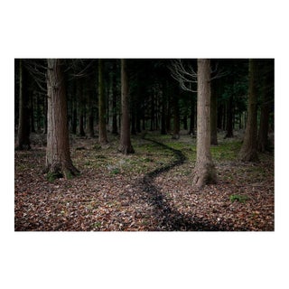Ellie Davies, Knit One, Pearl One 5, 2011, Photograph For Sale