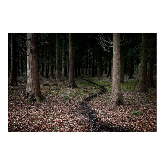 Ellie Davies, Knit One, Pearl One 5, 2011, Photograph For Sale