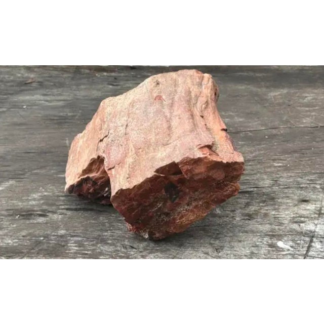 Petrified Wood Sculpture, Organic Modern Design, #2 For Sale - Image 10 of 13