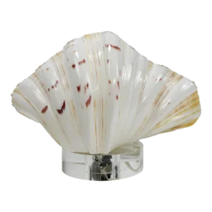 Vintage Clam Shell Table Lamp