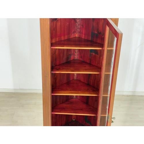 Vintage Corner Cabinet in Teak, 1960s For Sale - Image 4 of 13