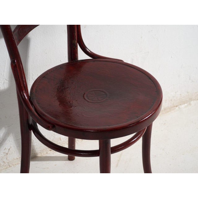 Antique Bentwood Chairs, Central Europe, 1900s, Set of 4 For Sale - Image 9 of 14