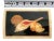 Jewelry Box Seashells Marble Inlay For Sale - Image 10 of 10