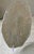 Circa 2000 Ivv Diamanté Nicely-Sized Shallow Centerpiece / Console Bowl, Italy For Sale - Image 9 of 18