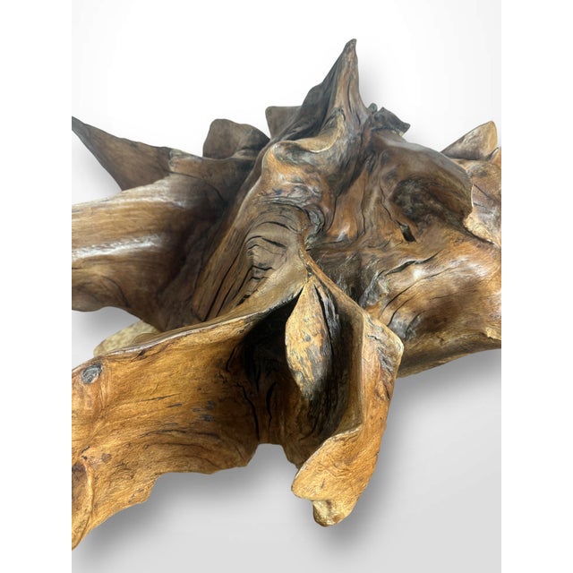 Wood Large Natural Abstract Sculpture, 20th Century, Root Wood For Sale - Image 7 of 17