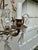 1930s 1930s Petite Brass and Crystal Chandelier For Sale - Image 5 of 7