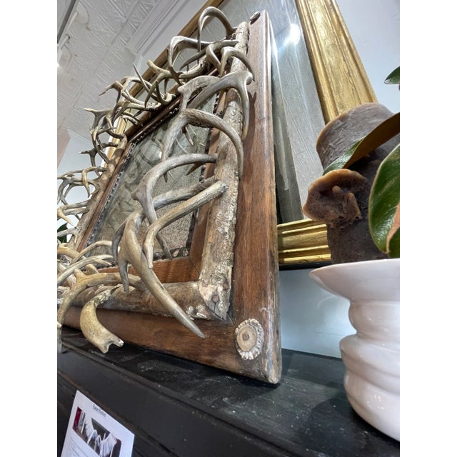 1800s Black Forest German Mirror With Roe Deer Antlers For Sale - Image 11 of 13