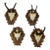 Vintage Set of Four Chamois Trophies on Carved Plaques, Germany Ca. 1950s For Sale