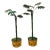 Italian Potted Tole Palm Trees - a Pair For Sale