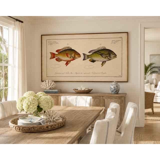 Not Yet Made - Made To Order Antique Fish Study 1, Vintage Art Print Reproduction, 48" X 32" For Sale - Image 5 of 10