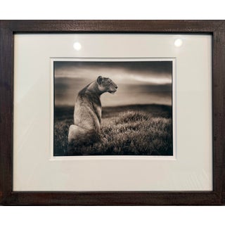 Nick Brant African Photograph For Sale