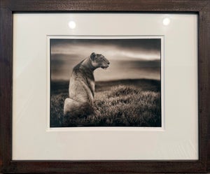 Nick Brant African Photograph