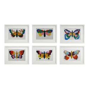 Set of 6 - High-End Wood Shadow Box Framed Original Butterflies Oil Paintings by Diane Grant