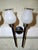 Metal Gold and Black Wall Lights with White Glass Shade, 1970s, Set of 2 For Sale - Image 7 of 13