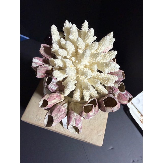Celestial Meets the Sea-Shell Incrusted Head-Coastal Art Sculpture For Sale In Chicago - Image 6 of 13