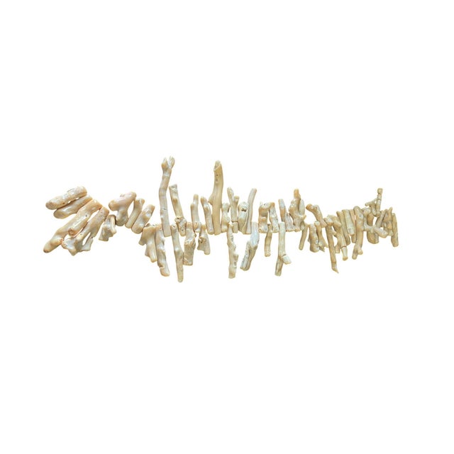 1980s Vintage Natural African White Coral Trade Beads /Currency /Necklace 49 Pieces For Sale - Image 5 of 12