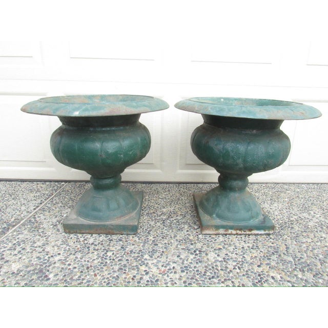 Pair of Antique French Medici Style Cast Iron Urns For Sale - Image 10 of 18