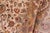 Textile Floral Pak-Persian Beige/Tan Wool Rug - 9'1'' X 12'0'' For Sale - Image 7 of 9