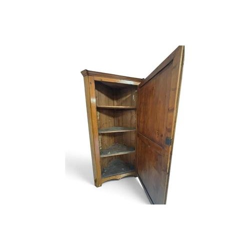 2000 - 2009 Antique Single-Door Corner Wardrobe with Internal Shelves For Sale - Image 5 of 9